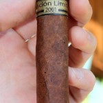 Tobacco Beetle