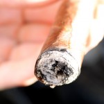 Do NOT smoke cigars with the visible signs of tobacco beetles!