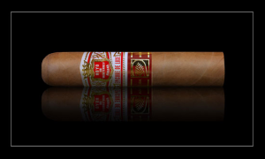 Hoyo-de-Monterrey-Epicure-de-Luxe-1