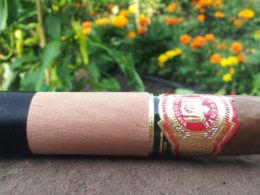 Arturo Fuente Chateau Fuente Sungrown