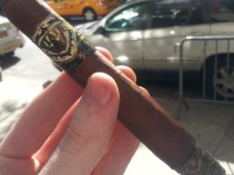 viaje 50 50 viaje 50 50