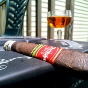 Ortega Serie D