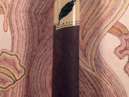 La Pluma Principia_1