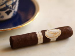 Davidoff Millennium Short Robusto Review Closeup