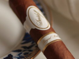 Davidoff Royal Robusto Closeup