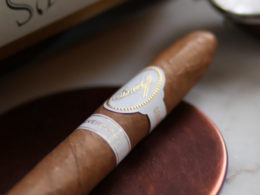 Davidoff Aniversario Special T Review Closeup