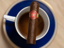Nat Sherman Panamericana Robustico Review