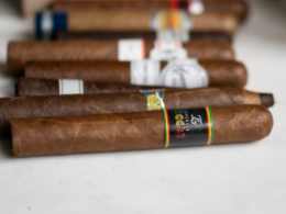 Espinosa Reggae Review