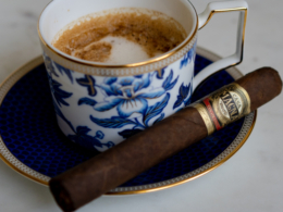 Casa Magna Colorado Toro Review 2