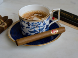 Fonseca Connecticut Review