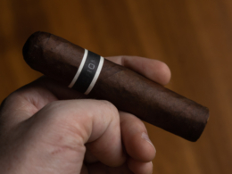 Roma Craft CroMagnon Mandible Review