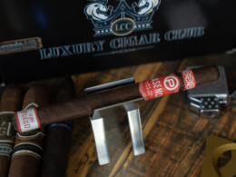 Plasencia Alma del Fuego Panatella Review
