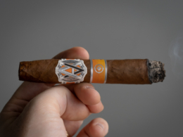 AVO Regional East Edition Review