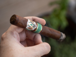 AVO Unexpected Tradition Review