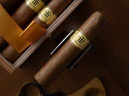 Trinidad Vigia Review