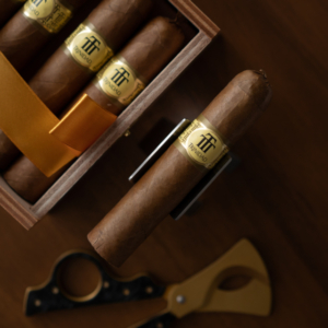 Trinidad Vigia Review