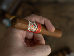AVO Unexpected Passion review
