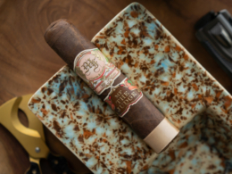 my father the judge review