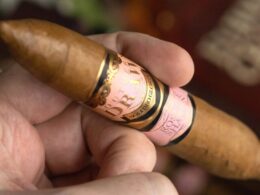 Southern Draw Rose of Sharon Review 2