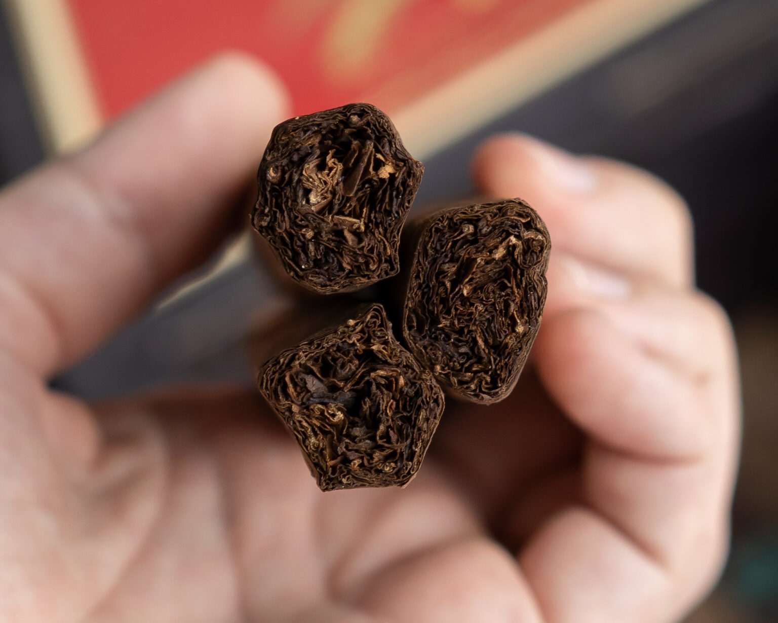 Blind Review Yagua Toro by J.C. Newman Cigar Co. Fine Tobacco NYC