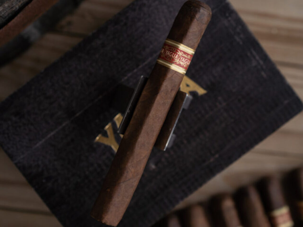 Yagua Cigar Review