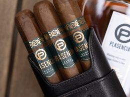 Plasencia Sixto Colorado Claro Review