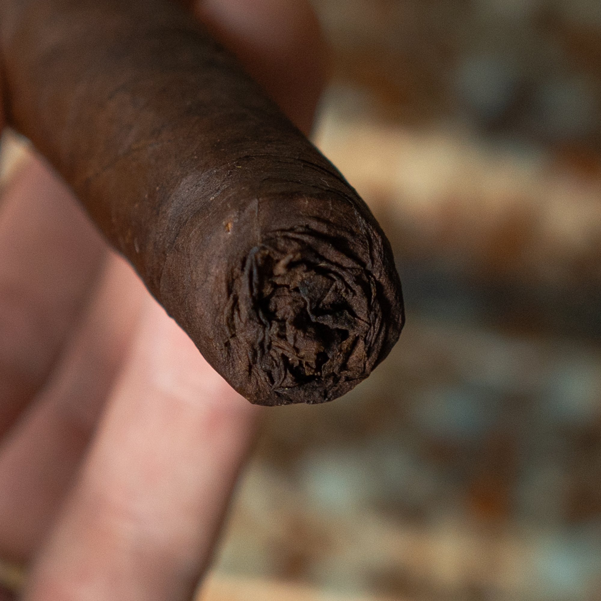 Viaje TNT 2021 Review