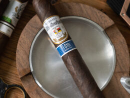 Quesada Oktoberfest 2021 10th Anniversary Review