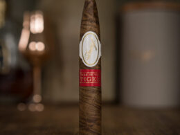 Blind Review: Davidoff Year of The Tiger 2022