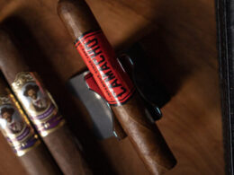 Blind Review: Camacho Corojo