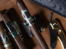 Limited Edition Platinum Nova Toro