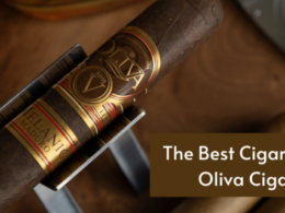 Opinion: The Best Cigars from Oliva Cigars