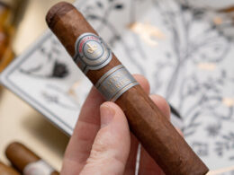 Montecristo Platinum Robusto Review 2 Montecristo Platinum Robusto Review 2