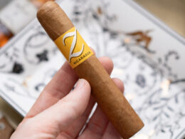 Zino Nicaragua Robusto Blind Review 2