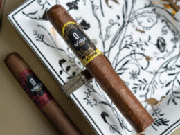 Noble Cigars Act One Toro Review 2