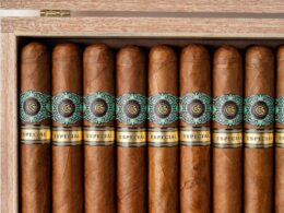 Warped-Moon-Garden-Especial-cigar