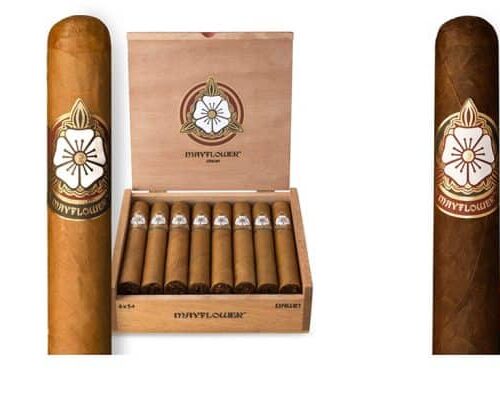 Michael Knowles Launches Mayflower Cigars Line