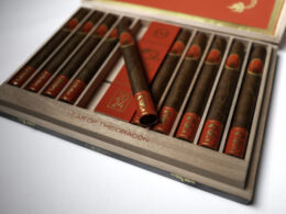 Oliva-Year-of-the-Dragon