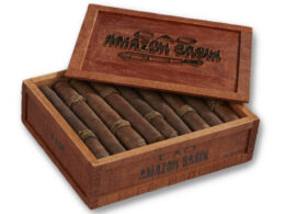 CAO Amazon Basin