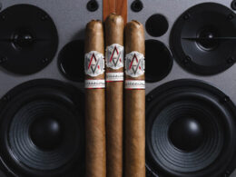 AVO Cigars